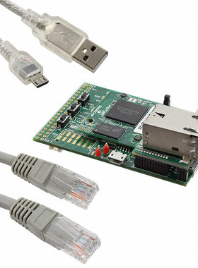 DM320008-C【PIC32MZ GRAPHICS EVAL BRD 】