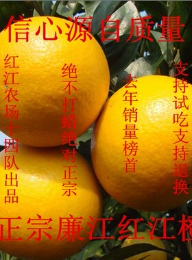 廉江红橙 红江橙10斤装橙子当季新鲜水果 红桔头红橘头精挑送礼版