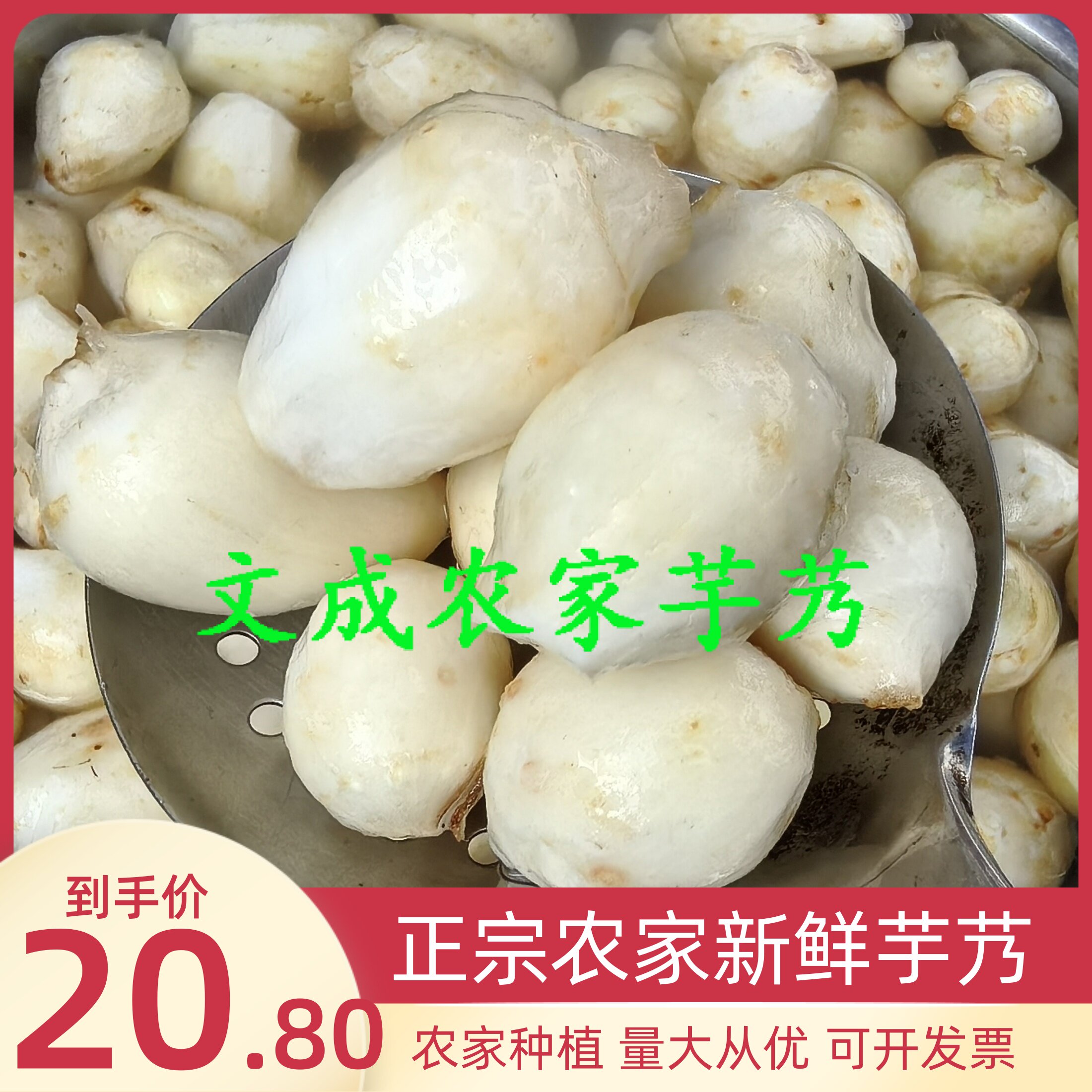 温州文成新鲜芋头芋艿牛奶粉糯早芋子迷你小毛芋农家种植酒店供货
