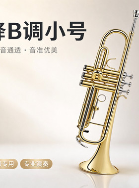津宝高级小号乐器儿童初学专业演奏考级 JBTR-300降B调成人管乐器