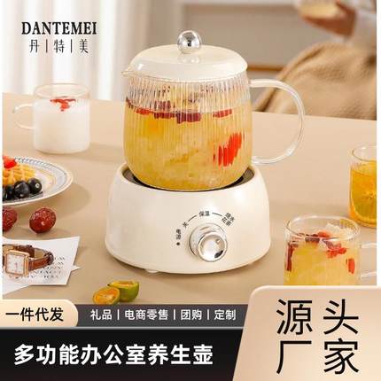 迷你养生壶小型办公室一人多功能家用烧水花茶壶养生杯电炖杯