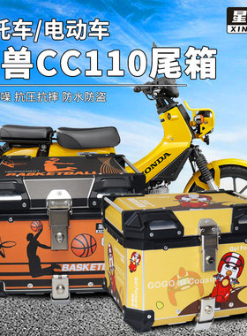 星骑侠幼兽CC110尾箱摩托车铝合金后备箱尾架后货架后背箱大容量