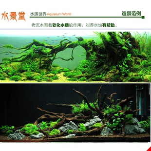 饰造晍 沉木造景套餐物塑料假花水族箱造景摆件布景鱼缸装