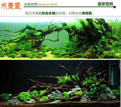 沉木造景套餐紫柚木鱼缸树桩形鱼虾躲避乌龟晒台南美水草拱桥树根
