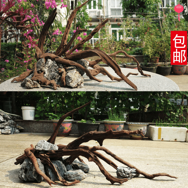 沉木造景套餐鱼池肯弦五金专营店广东深圳风宠鱼缸水里免