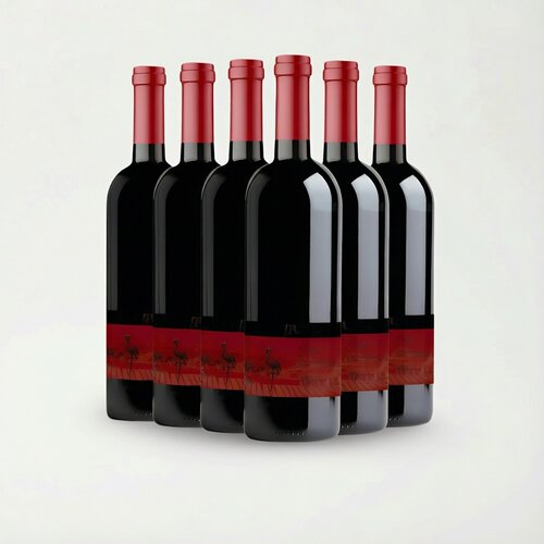 镇店口粮酒JH87澳洲原瓶进口西拉醉红鸟红酒火烈鸟婚宴干红葡萄酒