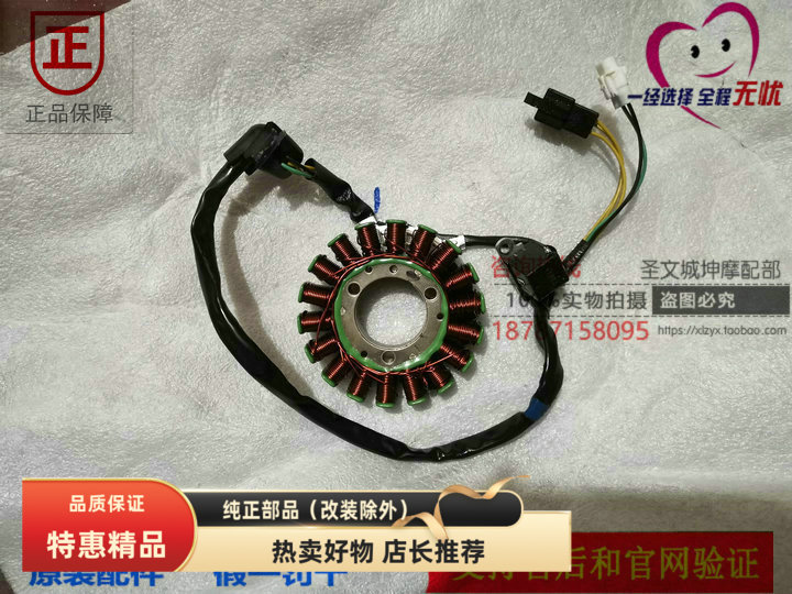 轻骑铃木QS150-5/6/8/9定子转子