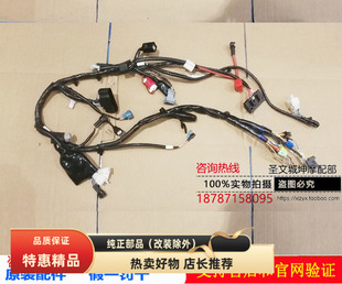 10主线束全车线路大线电缆 适用轻骑铃木悍骏悍道QS150