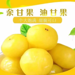 余甘果脆甜油柑子独立包装滇橄榄蜜饯果脯甜种情人果油甘果