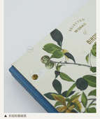 九口山 微瑕 5折布鲁克林博物馆奥杜邦美洲鸟类系列16开绘画本