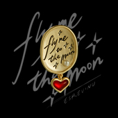 the moon」胸针 other 宇宙记号「Fly words love you