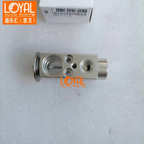 81619670024空调膨胀阀蒸发器适用于德国曼TGX TGs卡车