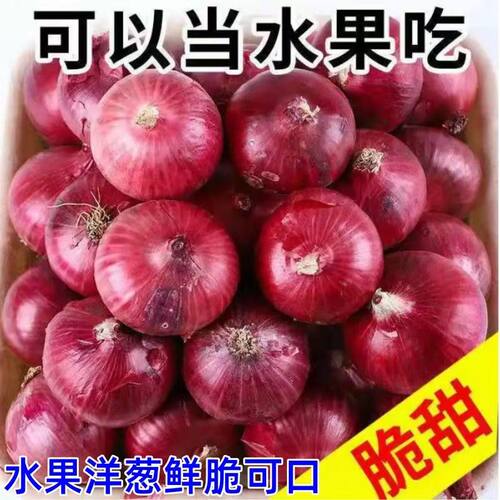 云南紫皮圆洋葱水果新鲜