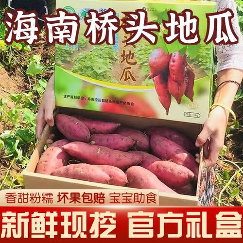官方原产地旗舰店 海南澄迈桥头地瓜富硒地瓜沙地红薯顺丰礼盒包