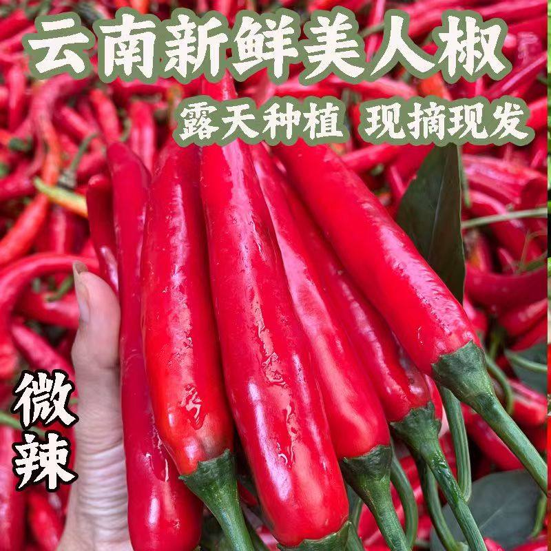 美人椒现摘5斤微辣农家新鲜辣椒鲜红辣椒似二荆条泡椒辣椒酱剁椒,水产肉类/新鲜蔬果/熟食,辣椒,淘宝优惠券,粉丝福利购,淘宝优惠卷