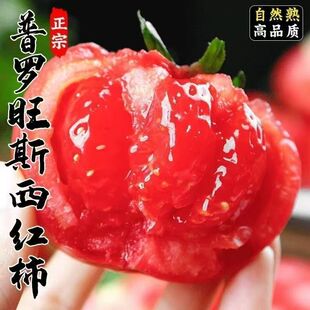 山东普罗旺斯沙瓤西红柿新鲜自然熟紗普鲁旺斯番茄洋柿子水果蔬菜