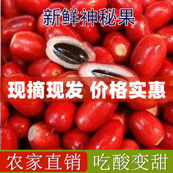 神秘果鲜果酸变甜变味果 蜜拉圣果 神奇改变味觉果干 解酒
