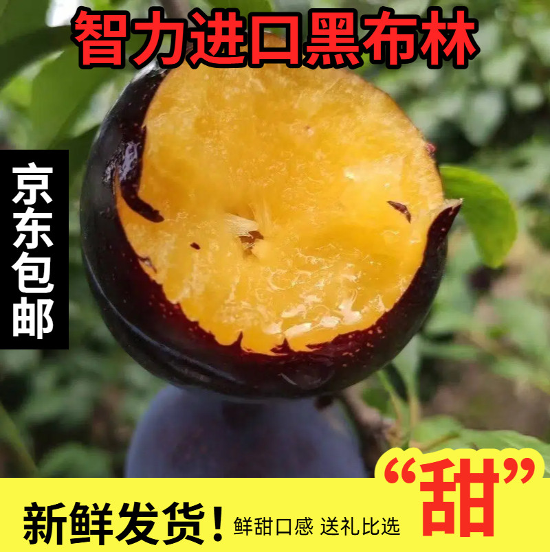 京东26当季头茬进口水果黑布林布朗大李子脱骨大红袍孕妇5斤香甜