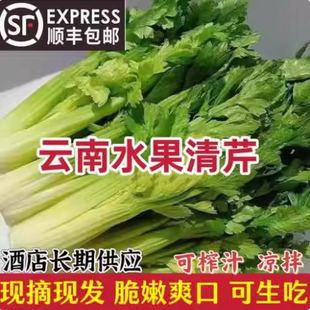 云南直发水果清芹生吃新鲜水果芹菜芯西芹当季 蔬菜现采绿色青菜