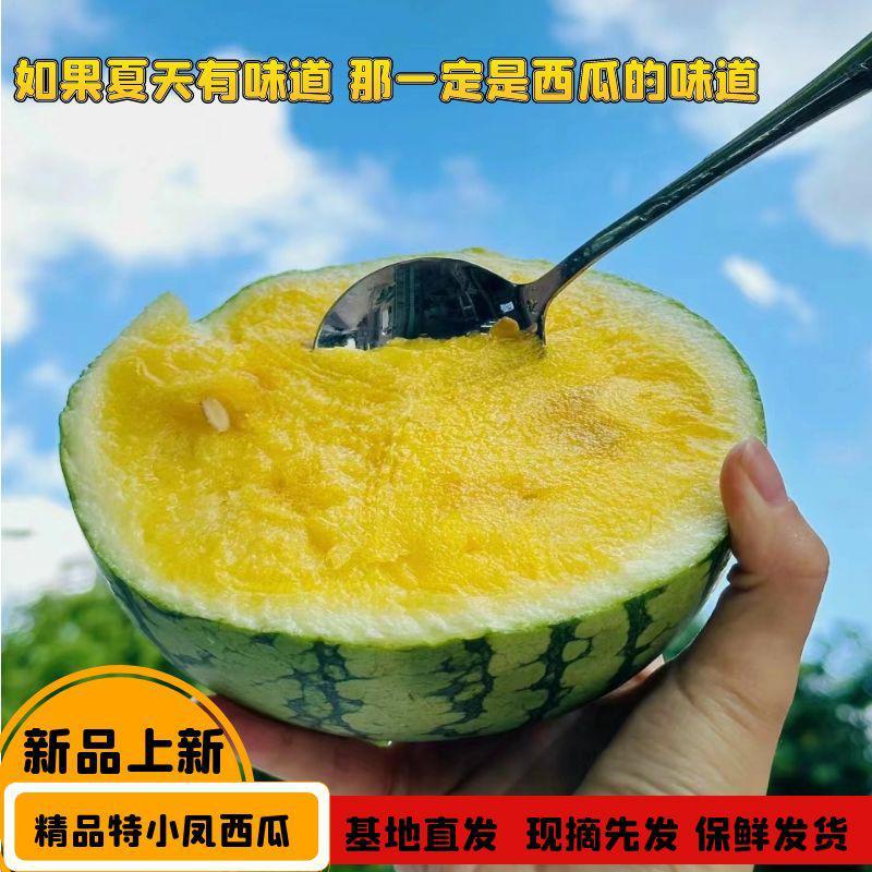 现摘特小凤黄心西瓜新鲜