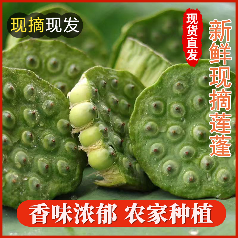 2024洪湖莲子新鲜莲蓬生吃精品
