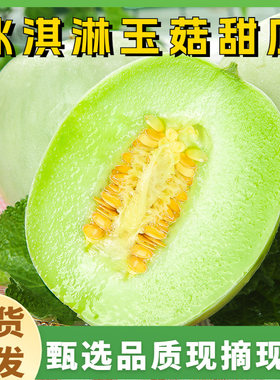 现摘山东冰淇淋玉菇甜瓜新鲜9斤水果小白香瓜羊角哈5密瓜超甜正宗