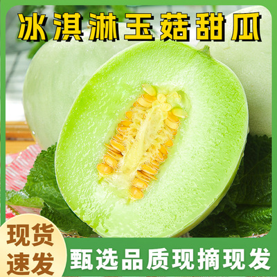 现摘山东冰淇淋玉菇甜瓜新鲜9斤水果小白香瓜羊角哈5密瓜超甜正宗