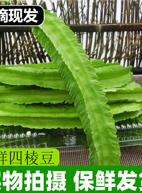 海南三亚鲜嫩四角豆绿色龙豆新鲜蔬菜四棱豆皇帝豆龙角豆季节