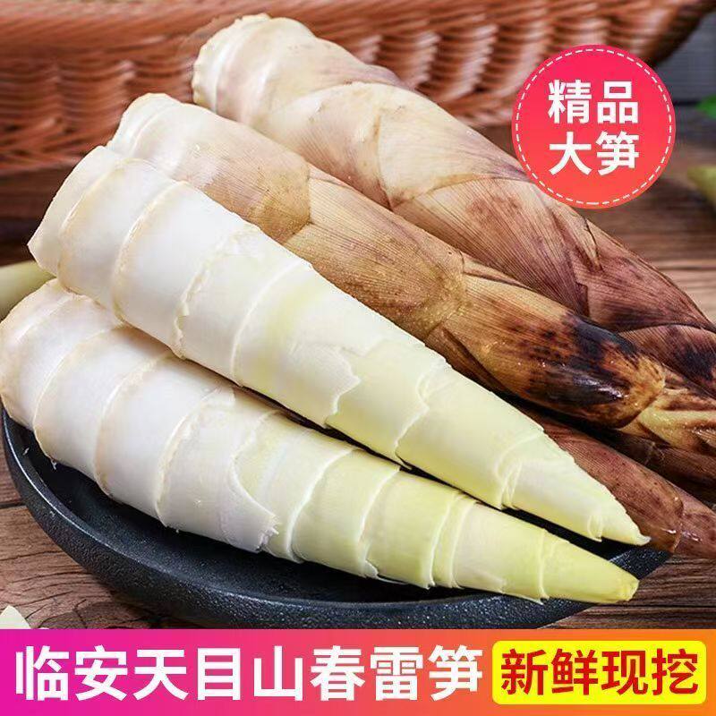 临安天目雷笋竹笋新鲜春笋现挖嫩芽笋冬笋鲜笋腌笃鲜嫩笋尖新鲜菜