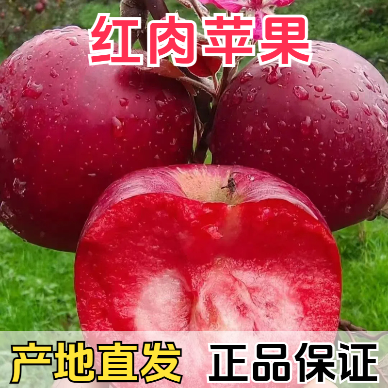 新疆阿克苏红色之爱红肉苹果12枚新鲜水果应当季红壤糖心平果礼盒