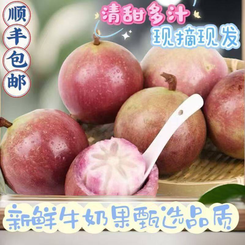 新鲜现摘紫色牛奶果星苹果紫海星时令当季新鲜水果大果整箱顺丰,水产肉类/新鲜蔬果/熟食,其它,淘宝优惠券,粉丝福利购,淘宝优惠卷