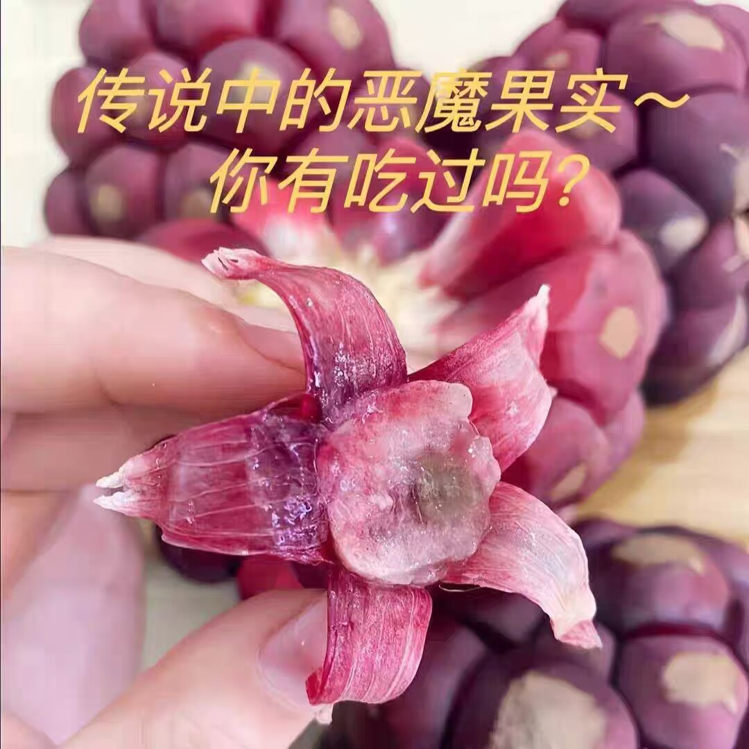 顺丰黑老虎水果新鲜布福娜野生大血藤果恶魔果实稀有古怪罕见水果
