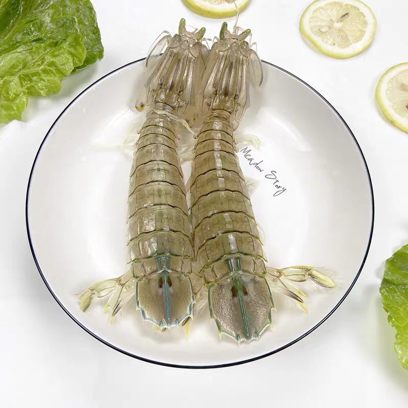 北海皮皮虾鲜活野生水产赖尿虾活冻虾
