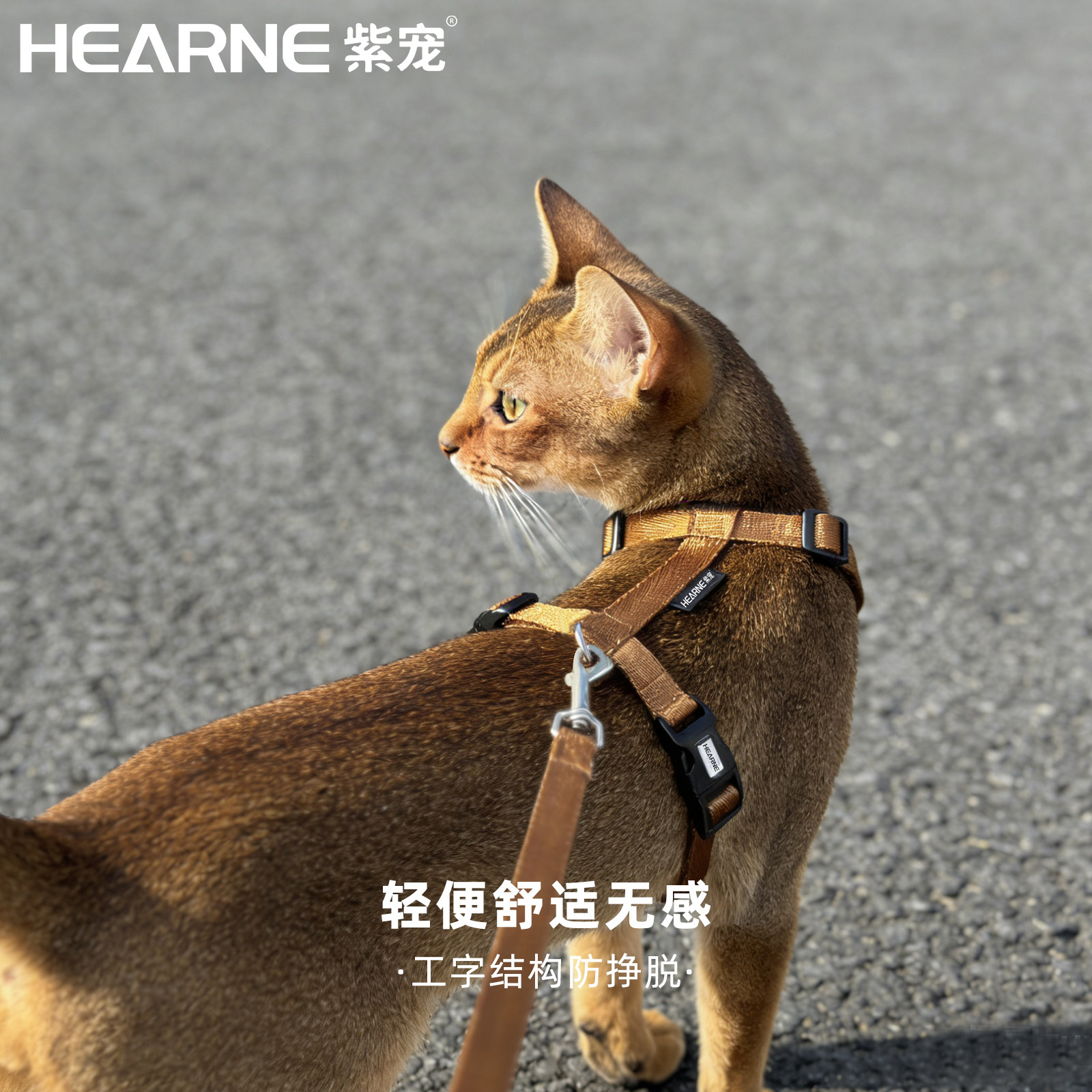 HEARNE紫宠猫咪牵引绳外出专用幼猫防挣脱不勒脖遛猫工字型胸背带,宠物/宠物食品及用品,猫牵引绳,淘宝优惠券,粉丝福利购,淘宝优惠卷