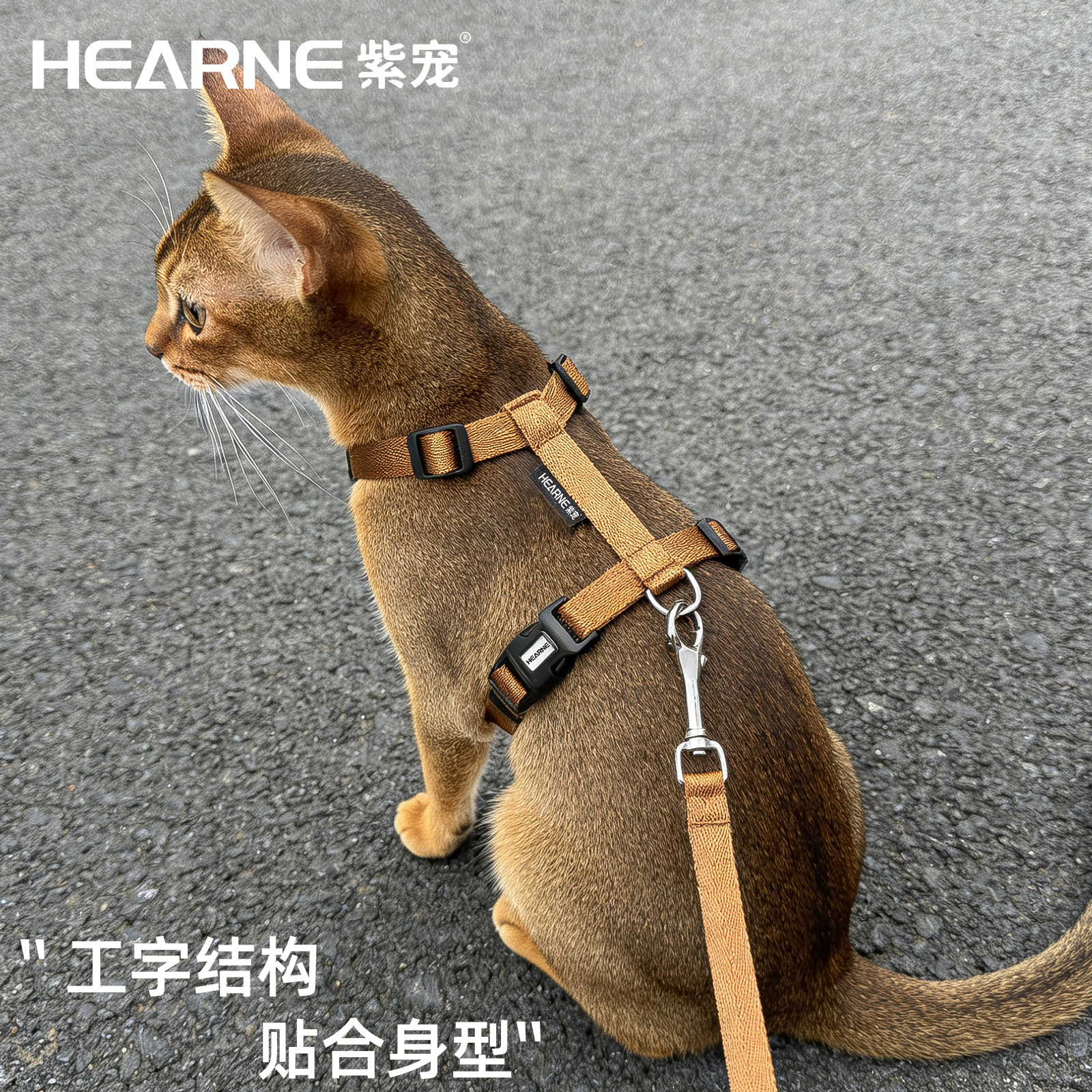 HEARNE紫宠猫咪防挣脱工字型胸背图片