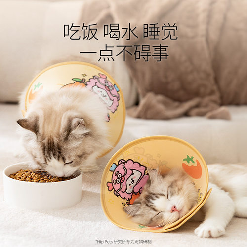 猫咪大吉大利吉祥语宠物伊丽莎白圈狗狗防咬头套防水脖圈宠物用品