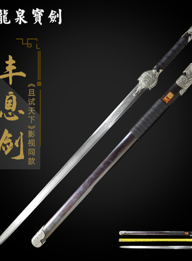 龙泉宝剑且试天下黑丰息佩剑花纹钢刀具防身冷兵器影视刀剑未开刃