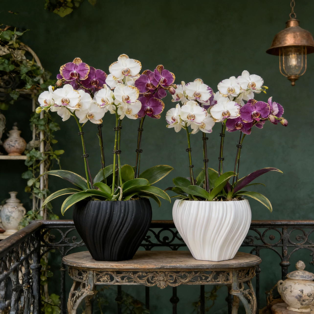 外贸款创意设计插花艺术花器前台桌面蝴蝶兰绿植组合简约陶瓷花盆,鲜花速递/花卉仿真/绿植园艺,花盆,淘宝优惠券,粉丝福利购,淘宝优惠卷