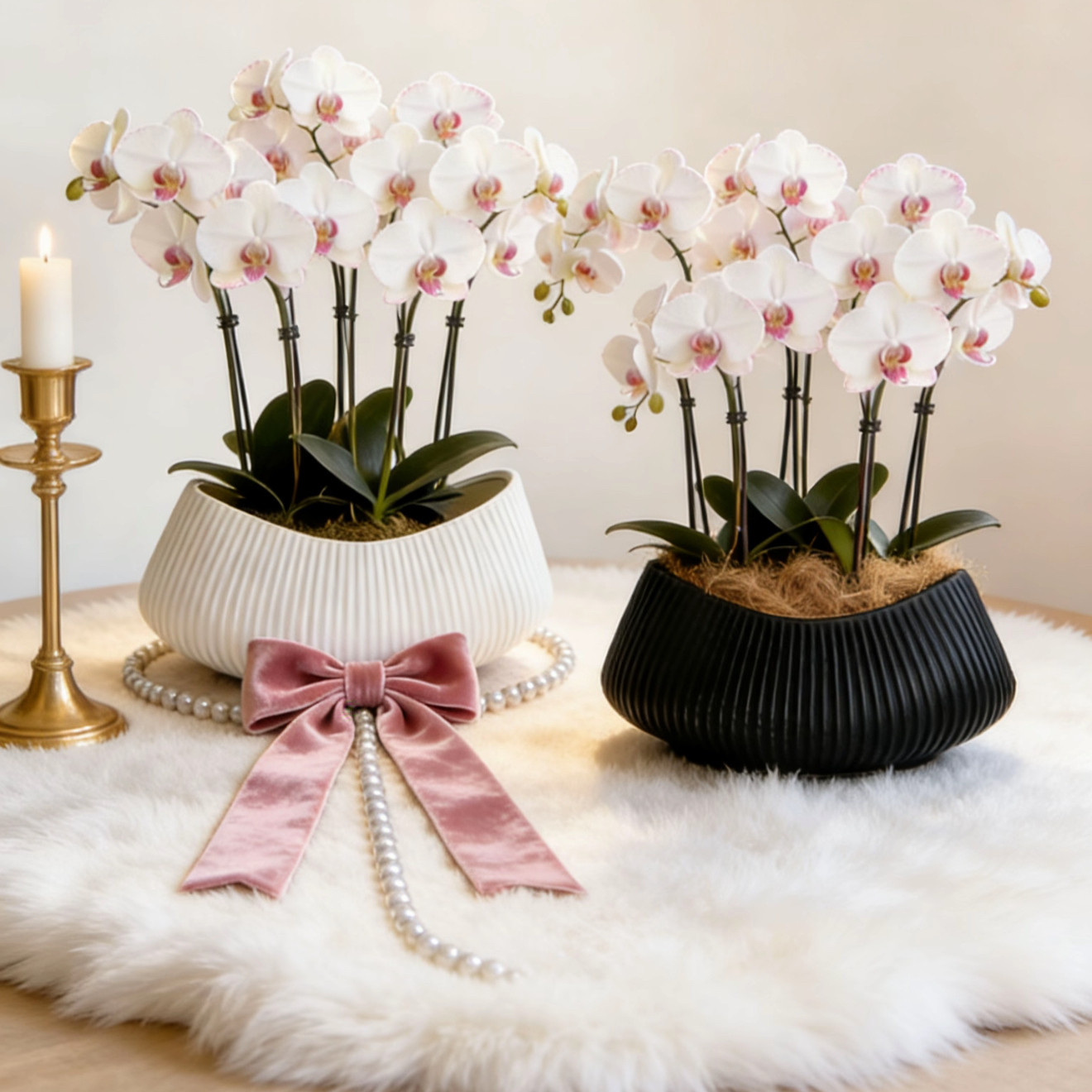 极简花盆大蕙兰蝴蝶兰大口径低款花器植物盆栽盆景网红花器,鲜花速递/花卉仿真/绿植园艺,花盆,淘宝优惠券,粉丝福利购,淘宝优惠卷