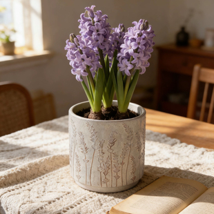 北欧风陶瓷大花盆绿植客厅简约龟背竹绿植盆栽金钱树专用特价包邮