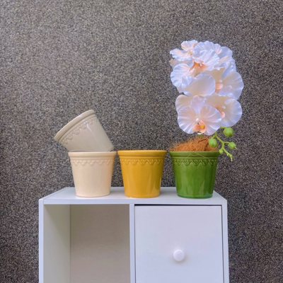 家居多肉绿植蝴蝶兰彩海芋小花盆