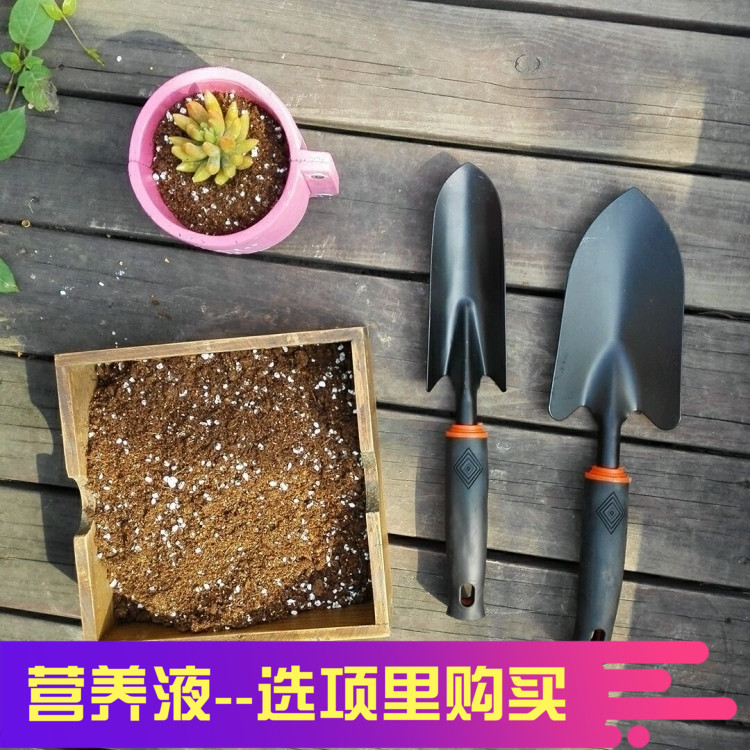 MiMiHome园艺单套工具组套装铲耙锄园艺种植养花种菜工具花园热销-封面