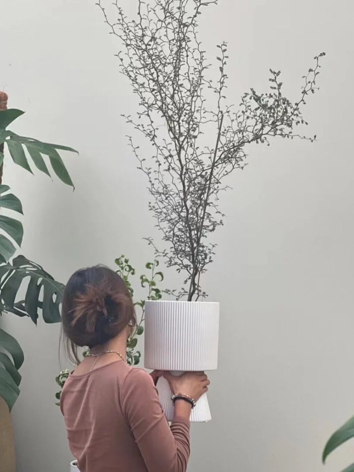 은버드나무 호랑가시나무 나비난초 진주유약 새해맞이 꽃통 가벼운 럭셔리 거실 꽃꽂이 화분 분재 화분