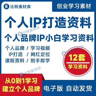 个人品牌打造个人ip打造方案包装变现社群网红定位教程视频课程