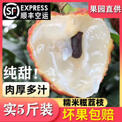 润然生深圳南山糯米糍荔枝5斤甜