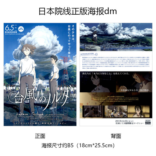 台风的诺尔达官方原版海报dm