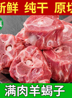 清真满肉羊蝎子散养羔羊带肉多带骨髓肉质细嫩羊蝎子火锅