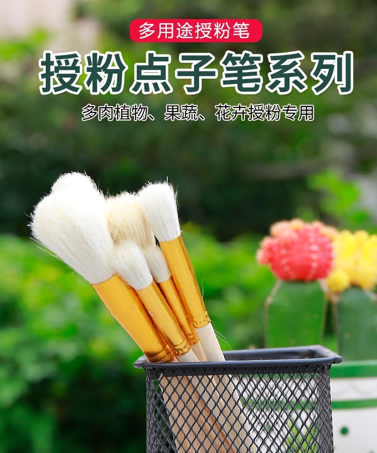 草莓授粉笔毛刷预防畸形果