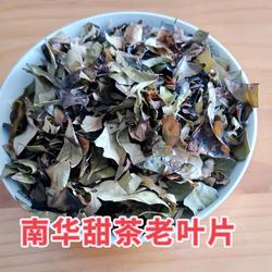 2026粤北韶关特产南华茶六祖禅茶甜茶石壁甜叶老茶农家手工炒制