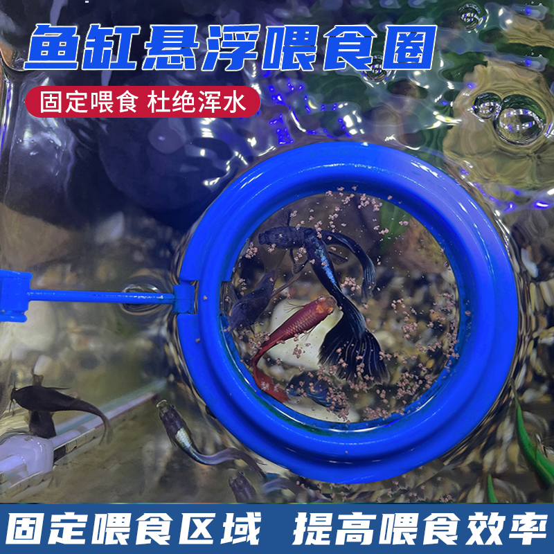 鱼缸喂食器喂鱼神器漂浮喂食圈